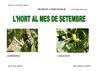 L'Hort al mes de setembre