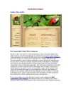 Florida Web Designer