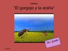 Cuento El gorgojo y la araña