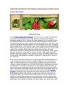 Palm Beach Florida has Web Designers offering good website pricing