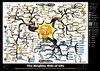 Brighter Side of Life Mind Map