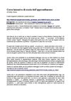 Kathy Sierra, Corso intensivo di teoria dell'apprendimento
