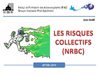 Les risques collectifs NRBC 2010