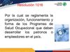 PROGRAMA_DE_SALUD_OCUPACIONAL