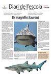 19420848-ELS-MAGNIFICS-TAURONS