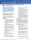 Do-I-Need-an-LSP-Language-Service-Provider