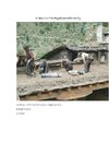 ཁང་ཐོག་དང་གྱང་འོས་བཟོ་སྐྲུན་གྱི་ཉམས་གསོ...