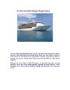 The Secrets which will get Cheap Cruises