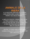 animals de la riera