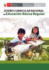 DISEÑO CURRICULAR NACIONAL PERU