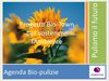 Presentazione Bio Town Slide