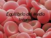 EQUILIBRIO MEDIO INTERNO