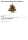 3' Pre-Lit IndoorOutdoor Adirondack Christmas Potted Topiary Tree