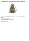 3' x 28 Pre-Lit Mixed Country Wall Christmas Tree with 100 Clear Lights