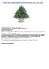 4' Potted Slim Olympia Pine Pre-Lit Artificial Christmas Tree - Clear Lights