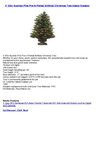 4' Slim Austrian Pine Pre-lit Potted Artificial Christmas Tree IndoorOutdoor