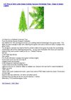 4.5' Pre-Lit Slim Lime Green Ashley Spruce Christmas Tree - Clear & Green Lights
