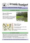 Arroumec n°34