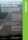 Huile de Palme, GreenPeace : la face cachée de Sinar Mas