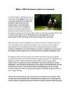 Belize: A Wild Life preserve right in your backyard