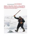 DOCUMENTO N° 16 - LA DEBASTACION DEL MEDIO AMBIENTE Y LA FAUNA