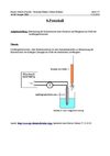 8.Protokoll_AYLPDF