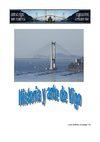 HISTORIA DE VIGO