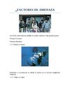 FACTORES DE AMENAZAS