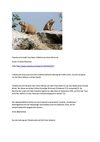 Präriehund Animals Tiere Natur SelMcKenzie Selzer-McKenzie
