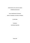 Entrada tipo ensayo Desarrollo Económico Sostenible