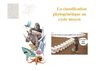 Classification phylogénétique