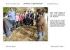 L'hort al mes de novembre 2ª part