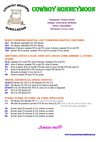 COWBOY HONNEYMOON PDF LINE DANCE