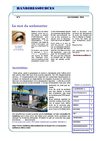 Lettre Handiressources décembre 2010