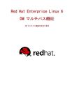 日本語 - Red Hat Enterprise Linux 6 DM マルチパス機能