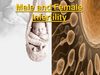 Top new IVF Clinic India,Best IVF Infertility Clinic,IVF Fertility Center