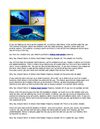Five Reasons Why You Should Retire and Settle In Belize Real Estate Property