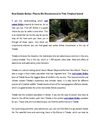 Real Estate Belize: Places We Recommend In This Tropical Island