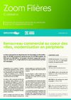 Zoom commerce