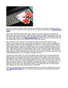 Why Beginner Poker Players Should Practice Poker Online