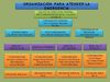 Organización ante emergencias La Salle