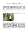 Fitness camps contributes to physical fitness