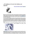 The Significance of Jewelry Lab Certificates and Appraisals