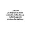Sciences de Laboratoire- étude des couleurs des végétaux