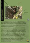 Ermites4_vol2
