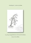Le pin et l'artiste par Toto25