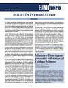 Boletín El Minero Enero 2011 - Año 1 - Número 12