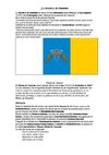 LA BANDERA DE CANARIAS