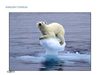 Alterações Climáticas