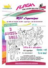 MJC Lagarrigue, Flash n°21: 15ème vide-grenier de Lagarrigue